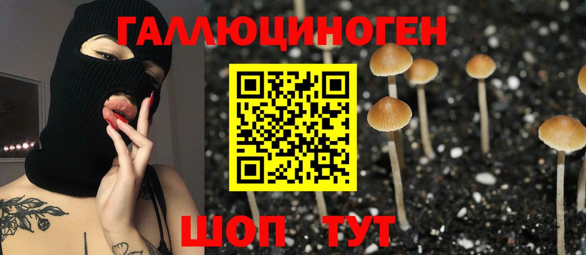 Псилоцибиновые грибы прущие грибы Магнитогорск